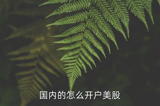 中國人能投資美國股票嗎,如何投資美國股票