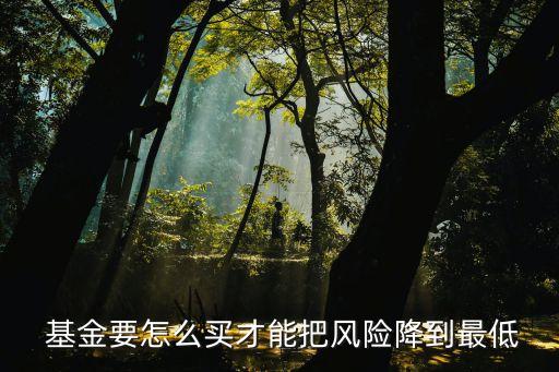  基金要怎么買(mǎi)才能把風(fēng)險(xiǎn)降到最低