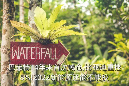 巴菲特14年來(lái)首次減倉(cāng),比亞迪重挫8%!2022新能源還能不能投