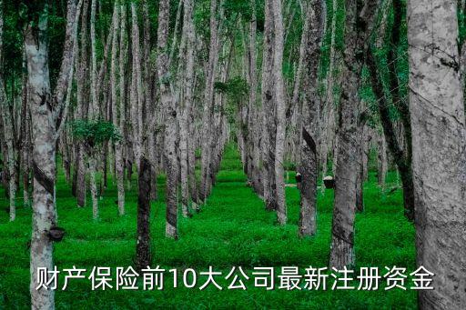  財產(chǎn)保險前10大公司最新注冊資金