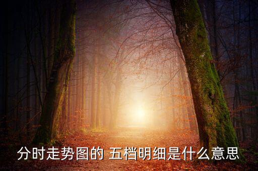 股票中買(mǎi)賣五檔,股票買(mǎi)賣五檔明細(xì)紅色綠色是什么意思