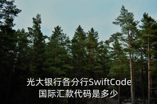 中國光大銀行西安東大街支行行號,光大銀行西安經(jīng)濟(jì)技術(shù)開發(fā)區(qū)支行