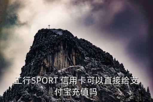 工行SPORT 信用卡可以直接給支付寶充值嗎