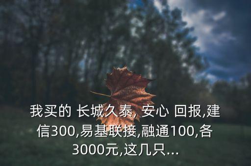 我買的 長城久泰, 安心 回報(bào),建信300,易基聯(lián)接,融通100,各3000元,這幾只...