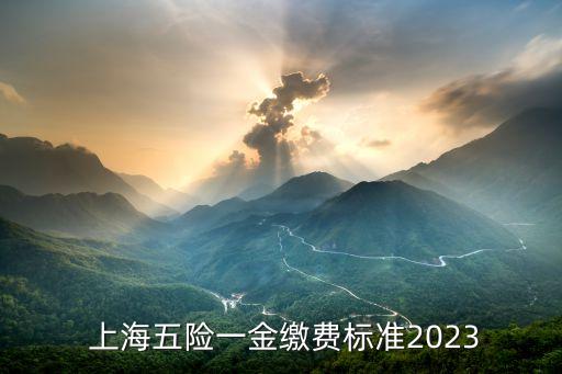  上海五險一金繳費(fèi)標(biāo)準(zhǔn)2023