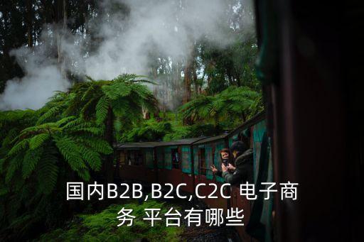 國內(nèi)B2B,B2C,C2C 電子商務(wù) 平臺(tái)有哪些