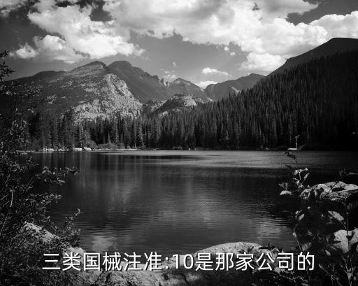 三類國械注準(zhǔn):10是那家公司的