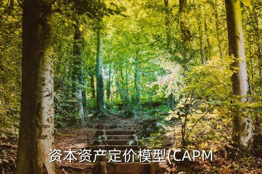 資本資產(chǎn)定價模型(CAPM