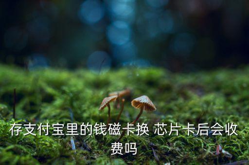 存支付寶里的錢磁卡換 芯片卡后會(huì)收費(fèi)嗎