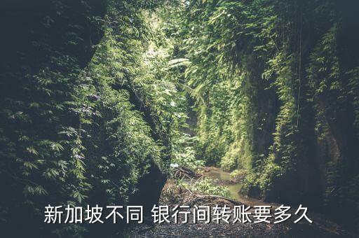 新加坡不同 銀行間轉(zhuǎn)賬要多久