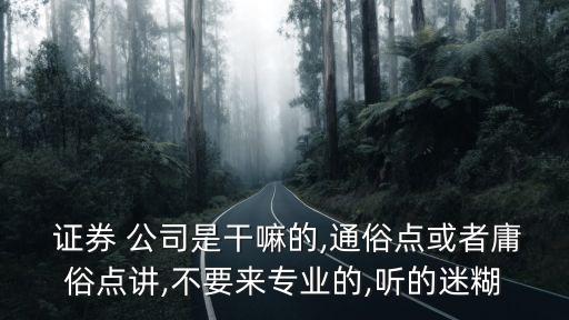  證券 公司是干嘛的,通俗點(diǎn)或者庸俗點(diǎn)講,不要來(lái)專(zhuān)業(yè)的,聽(tīng)的迷糊