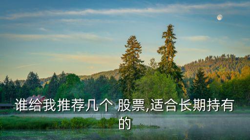 誰(shuí)給我推薦幾個(gè) 股票,適合長(zhǎng)期持有的