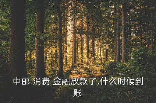 郵政消費金融公司,重慶螞蟻消費金融公司電話