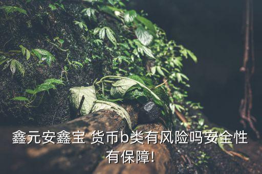 鑫元安鑫寶 貨幣b類有風(fēng)險(xiǎn)嗎安全性有保障!