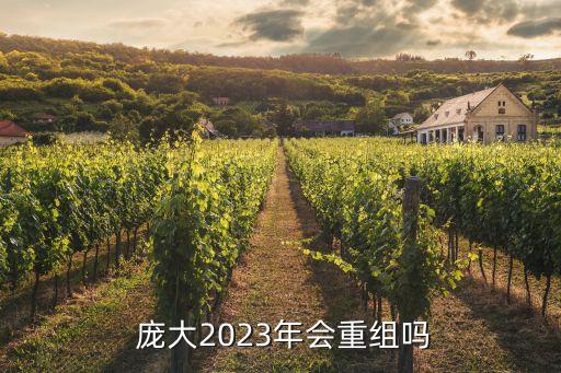  龐大2023年會(huì)重組嗎