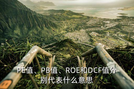 PE值、PB值、ROE和DCF值分別代表什么意思