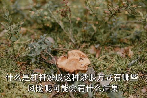 什么是杠桿炒股這種炒股方式有哪些 風(fēng)險(xiǎn)呢可能會(huì)有什么后果