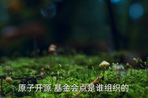 原子開(kāi)源 基金會(huì)點(diǎn)是誰(shuí)組織的