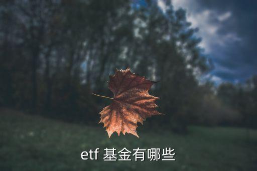 etf 基金有哪些