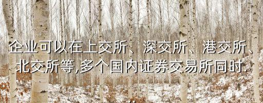 企業(yè)可以在上交所、深交所、港交所、北交所等,多個國內(nèi)證券交易所同時...