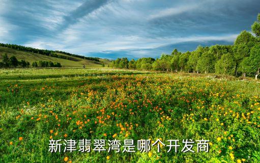 成都成商地產(chǎn)有限公司,成都上程數(shù)據(jù)有限公司