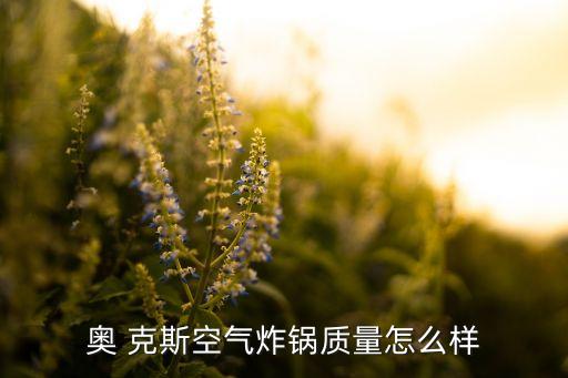 奧 克斯空氣炸鍋質(zhì)量怎么樣