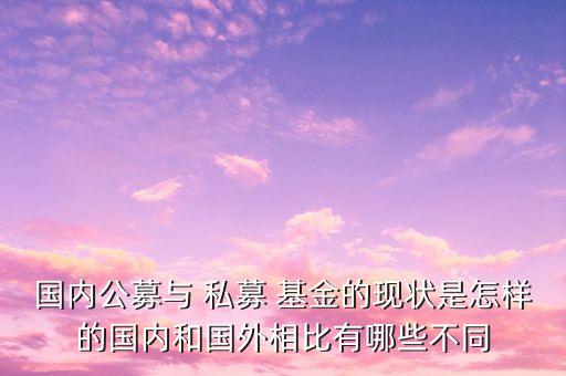 國內(nèi)公募與 私募 基金的現(xiàn)狀是怎樣的國內(nèi)和國外相比有哪些不同