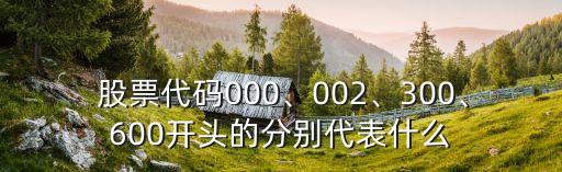  股票代碼000、002、300、600開頭的分別代表什么