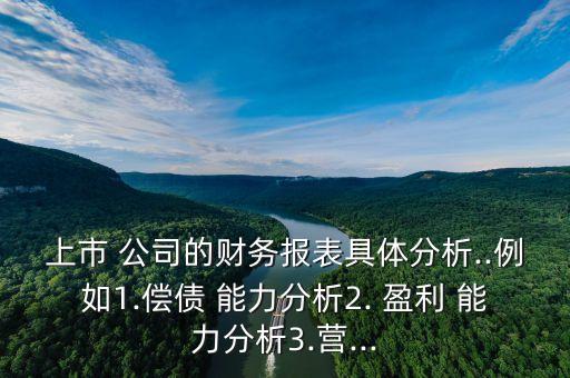 上市 公司的財(cái)務(wù)報(bào)表具體分析..例如1.償債 能力分析2. 盈利 能力分析3.營...