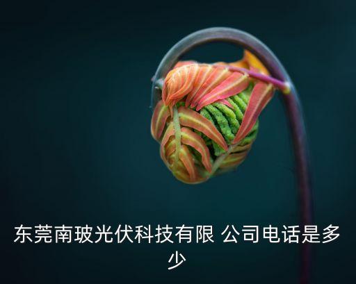 南玻各公司主要領導人