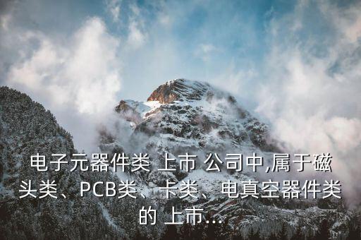 電子元器件類 上市 公司中,屬于磁頭類、PCB類、卡類、電真空器件類的 上市...