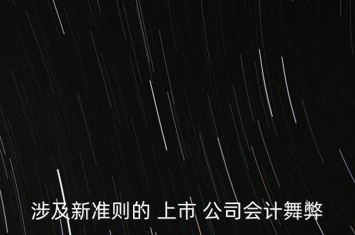 涉及新準(zhǔn)則的 上市 公司會(huì)計(jì)舞弊