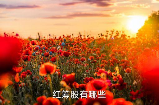 安莉芳控股有限公司,濟南安莉芳服裝有限公司