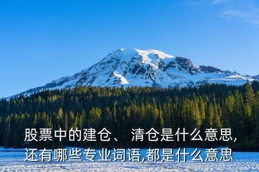  股票中的建倉、 清倉是什么意思,還有哪些專業(yè)詞語,都是什么意思