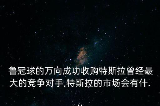  魯冠球的萬向成功收購特斯拉曾經(jīng)最大的競爭對手,特斯拉的市場會(huì)有什...