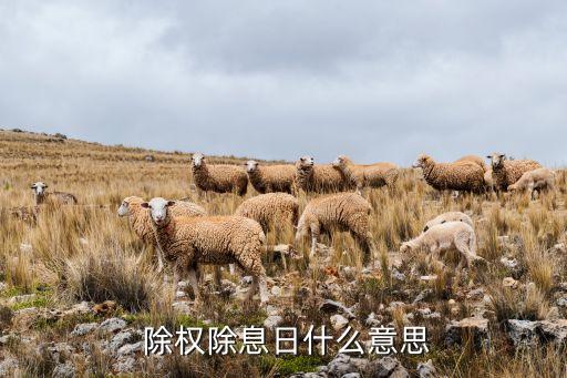  除權除息日什么意思