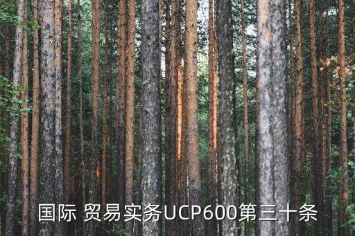 國際 貿(mào)易實務(wù)UCP600第三十條