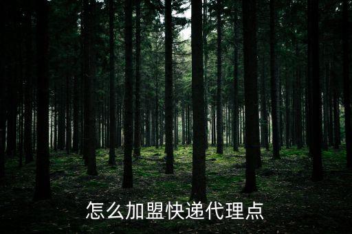 北京石創(chuàng)擔保服務有限公司