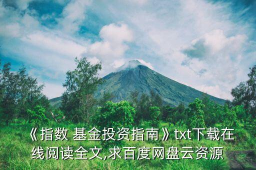 《指數(shù) 基金投資指南》txt下載在線閱讀全文,求百度網(wǎng)盤云資源