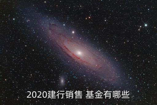 2020建行銷(xiāo)售 基金有哪些