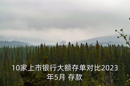 10家上市銀行大額存單對(duì)比2023年5月 存款