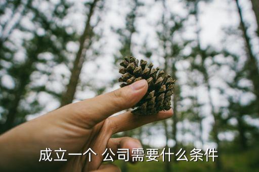 成立一個(gè) 公司需要什么條件