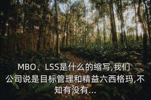 上市公司mbo例子,雙匯mbo.成功后的上市公司之路