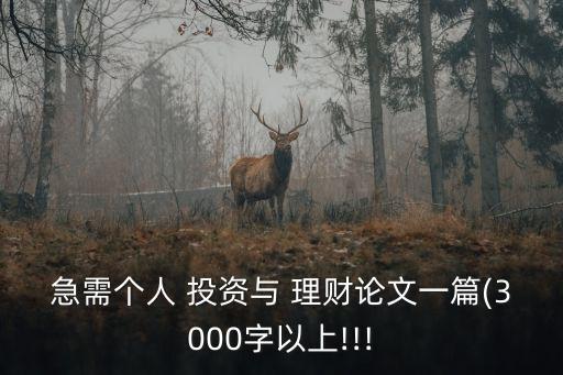 急需個(gè)人 投資與 理財(cái)論文一篇(3000字以上!!!