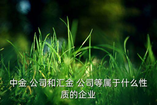 中金 公司和匯金 公司等屬于什么性質(zhì)的企業(yè)