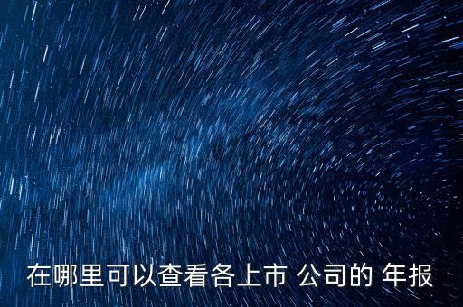 在哪里可以查看各上市 公司的 年報