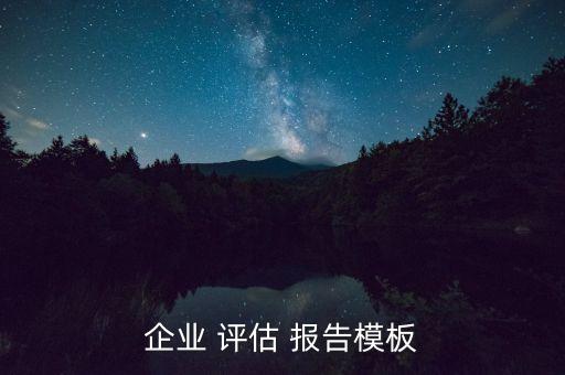 公司資產(chǎn)評估報告