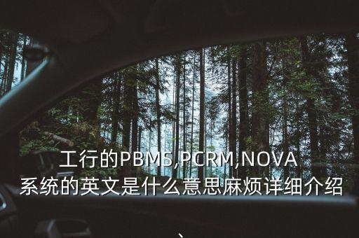 工行的PBMS,PCRM,NOVA 系統(tǒng)的英文是什么意思麻煩詳細介紹、