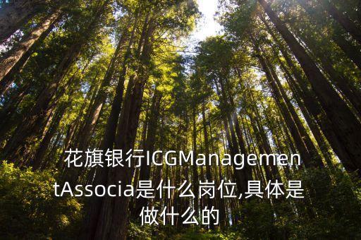  花旗銀行ICGManagementAssocia是什么崗位,具體是做什么的