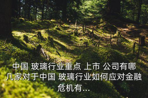 高送轉(zhuǎn)玻璃上市公司,A股高送轉(zhuǎn)的上市公司有哪幾個?